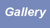 btn_gallery